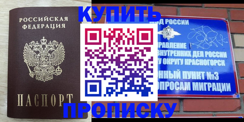 прописка гарантия в Похвистнево